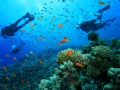 snorkeling_Fiji_maqai.com